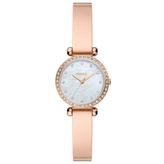 Fossil FBQ3894 Kadın Kol Saati