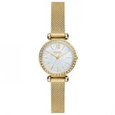 Fossil FBQ3898 Kadın Kol Saati