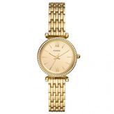 Fossil FES5309 Kadın Kol Saati