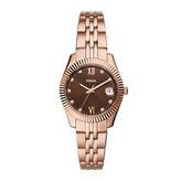 Fossil FES5324 Kadın Kol Saati