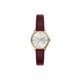Fossil FES5510 Kadın Kol Saati