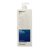 Framesi Reinforcig 1000 ml Şampuan