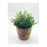 Frıdfull Hasır Saksı 12 Cm - Su Sümbülü
