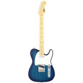 Fujigen Telecaster Elektro Gitar NTE100MAHSBB