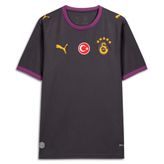 Galatasaray 2026/27 Deplasman Erkek Gri Futbol Forma 78501305