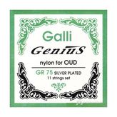 Galli Gr75 Ud Teli Takım