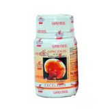 Gano Excel Excellium