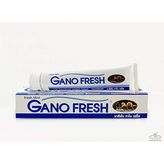 Gano Excel Gano Fresh (Yeşil) Diş Macunu