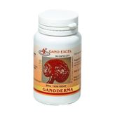 Gano Excel Ganoderma Kırmızı Reishi 90 Kapsül