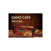 GanoExcel Gano Café Mocha (15 POŞET)