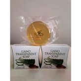 GanoExcel Transparent Soap Şefaf Sabun 2 Kutu
