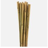 Gardener Bambu 210 cm Bitki Destek Çubuğu