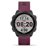 Garmin Forerunner 245 Akıllı Saat