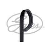 Gates 3PK775 Kanallı Kayış