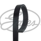 Gates 5PK1510 Kanallı Kayış
