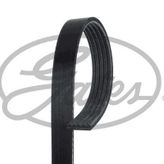 Gates 5PK848 Micro-V Horizon Kayış