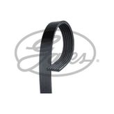 Gates 6PK925 Kanallı Kayış