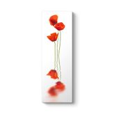 Gelincik Tablosu 30 x 90
