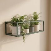 Gelişim Metal Flora -Modern Saksılık Kitaplık Dekoratif Çiçeklik - Yeşil