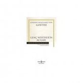 GENÇ WERTHERIN ACILARI - JOHANN WOLFGANG VON GOETHE