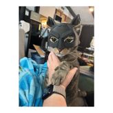 Genel Markalar KEDİ MASKESİ