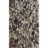Genel Süper Karışık Kanarya Yemi 1 Kg