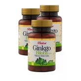 Ginkgo Biloba Tableti 60 X 600 mg 3 Kutu