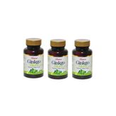 Ginko Biloba 600 Mg 60 Tablet X 3 Adet
