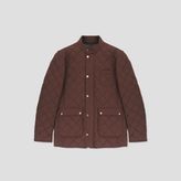 Giovane Gentile Mont / Kaban - 52 - Bordo