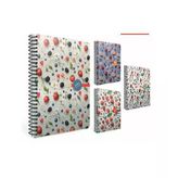 Gıpta Berry Notes Spiralli Sert Kap Def 17X24 120 Çizg.-36-Std