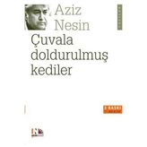 Girişimci Kadın Çuvala Doldurulmuş Kediler