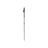 Gitzo GM2541 Monopod