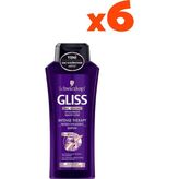 Gliss Intense Terahpy Şampuan 360 ml x6