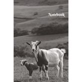 Goat Notebook: Journal, Diary or Sketchbook, Notebook for School, College or Work