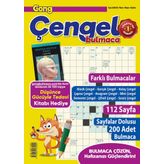 Gong Çengel Bulmaca 002