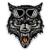 Gözlüklü Kurt Araba Sticker Yapıştırma 18 Cm