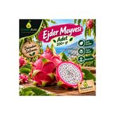 GreenAvo 1 Adet Ejder Meyvesi 200+gr (Pitaya)