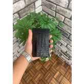 Guard Croco Baskılı Siyah Pasaport Kılıfı