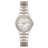 Guess GUGW1027L5 Kadın Kol Saati