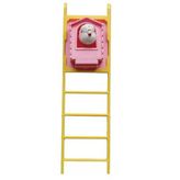Guguklu Merdiven Kuş Oyuncağı 20 Cm