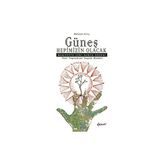 Güneş Hepimizin Olacak - Mehmet Kılıç