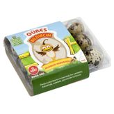 Güres 12'li Bıldırcın Yumurta