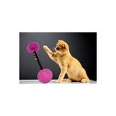 Haciyatmaz Kedi Oyuncagi - Pembe