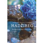 Hadzibeg 4: Mladi pisac pod stare dane