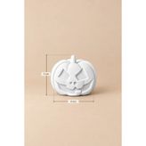 Halloween Kabak Obje | Taş Boyama Figürü