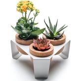 Halohope Beyaz Metal Stantlı 3’lü Skulent Saksısı – Metal Stant ve Meşe Saksılar, Modern Tasarım, Dekoratif Ç