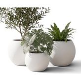 Happy Trend Japandi Tarzı Modern Küre Saksı 3'lü Set - Su Sızdırmaz Dekoratif Salon ve Balkon Saksısı Hediyelik Çiçeklik Seti (Mermer Beyazı - Iki Büyük Bir Orta)