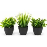 Happy Trend Mini Yapay Çiçek Sukulent Seti, Saksılı Yapay Sukulent Bitki, Dekoratif Masaüstü Mini Bitkiler, Ev ve Ofis Dekoru, 8 cm (Siyah)