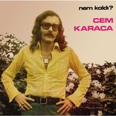 Hasyılmaz Cem Karaca - Nem Kaldı Lp Plak - 1