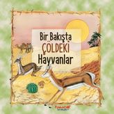 Hatıra Kutusu Bir Bakışta Çöldeki Hayvanlar